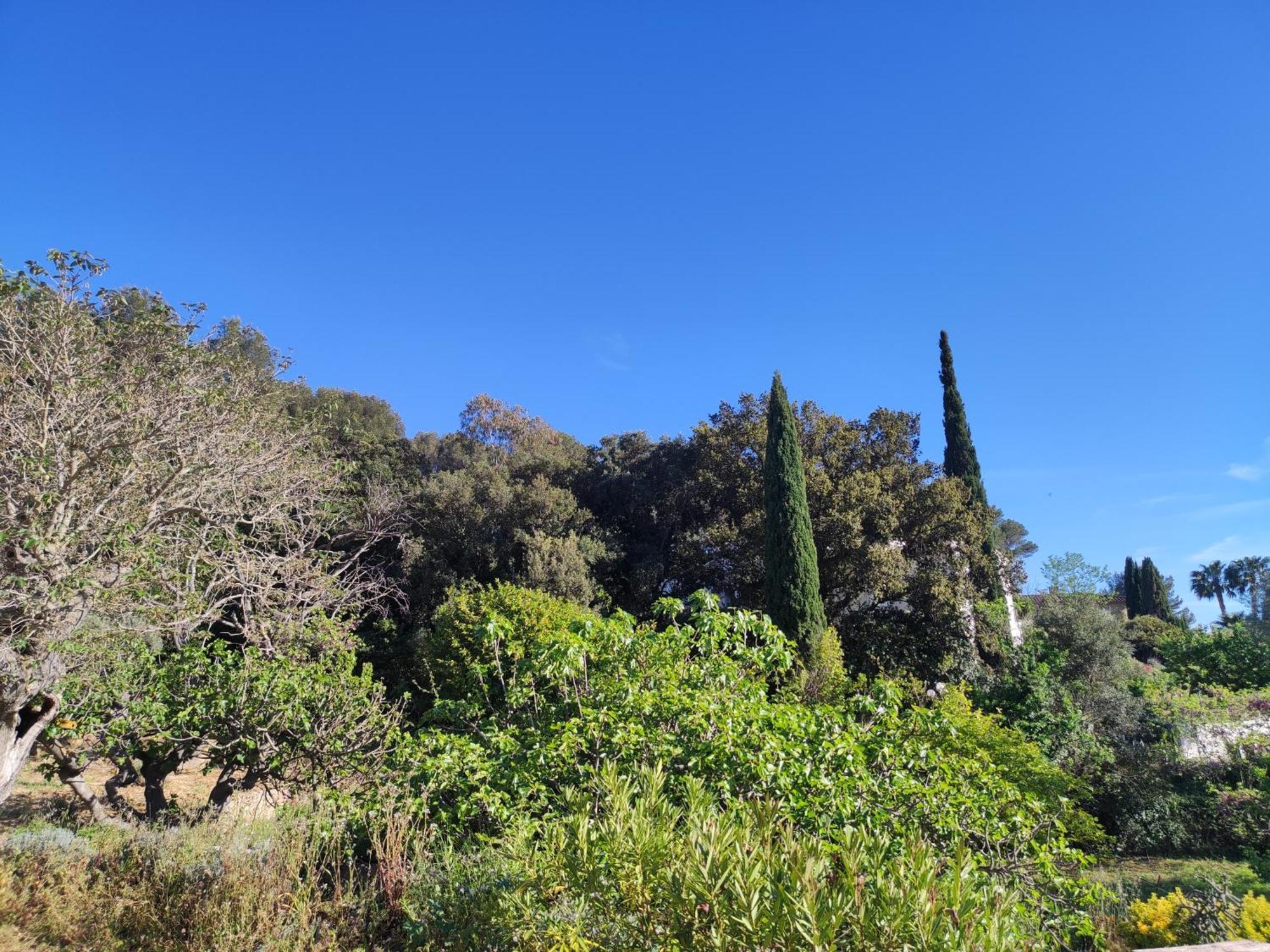 Bastide Provencale Vue Mer A 5 Min De La Plage Санари-сюр-Мер Номер фото